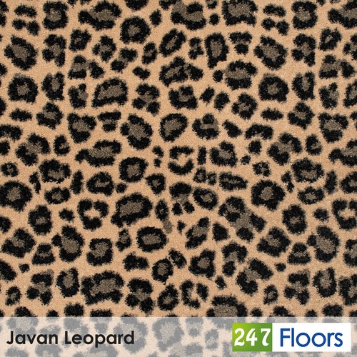 Javan leopard jag44 - javan,