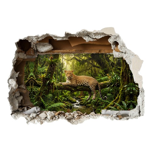 Leopard hole wall - leopard,