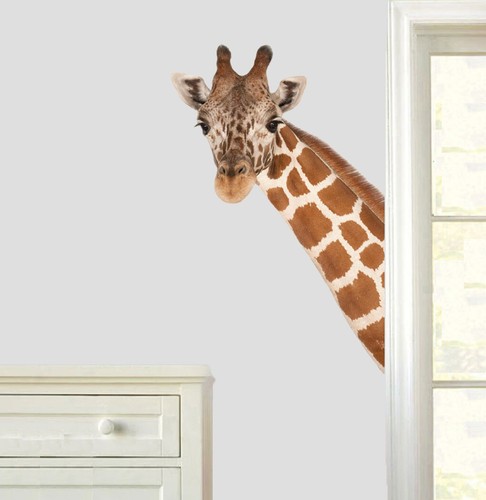 Giraffe head wall - head,