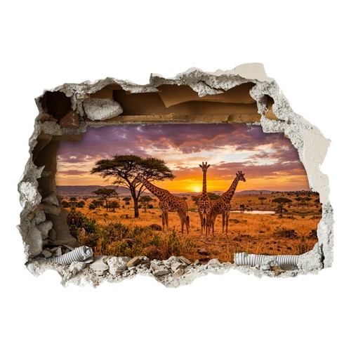 Giraffe hole wall - giraffe,