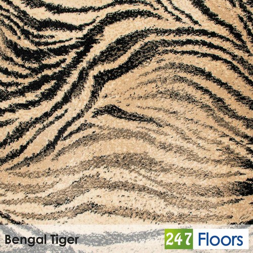 Bengal tiger t495 - bengal,