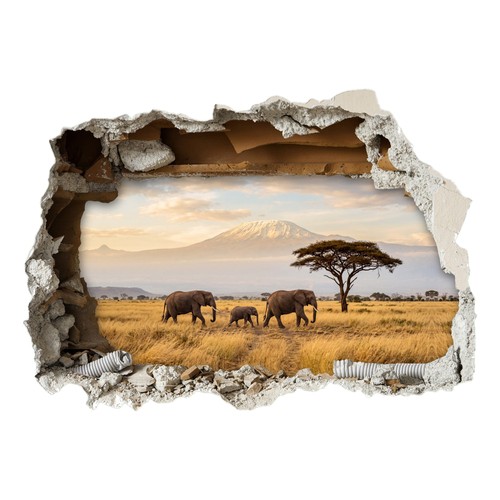 Elephant hole wall - elephant,