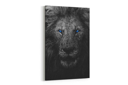 Majestic lion framed canvas - majestic,