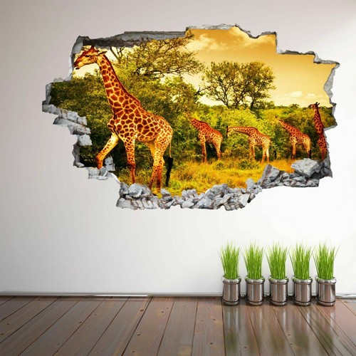 Giraffes african wildlife - giraffes,