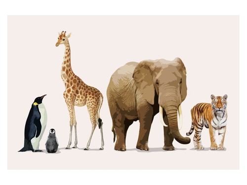 Safari animal companions - safari,